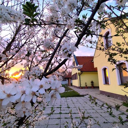 Idylicky Rodinny Penzion Arkadia Pri Dunajskej Cyklotrase Keszölcés Kültér fotó